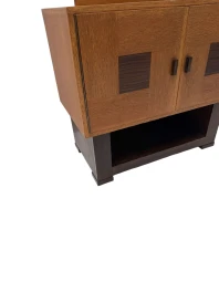 Art Deco Modernist Cabinet by 't Woonhuys Amsterdam, 1920s